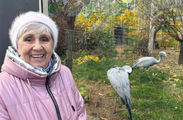 Впечатлений масса, а положительных эмоций тем более!